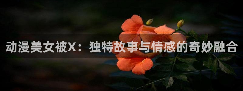 里番经典：动漫美女被X：独特故事与情感的奇妙融合