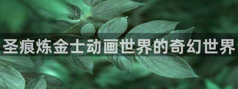 里番动漫网址：圣痕炼金士动画世界的奇幻世界