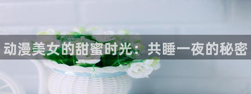 里番动漫网址