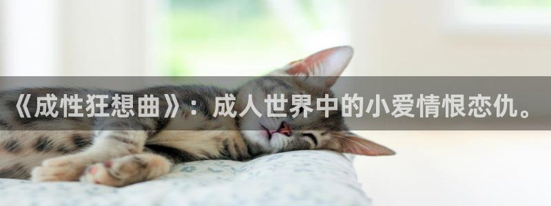 工口少女漫画里番