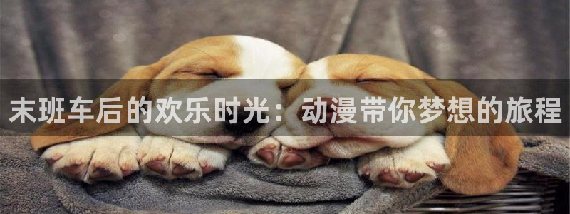 色里番动漫