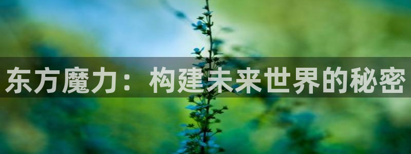扶她里番动漫