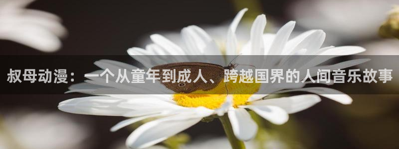 漫画里番acg：叔母动漫：一个从童年到成人、跨越国界的人间音乐故事