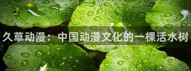 色列漫画里番本子：久草动漫：中国动漫文化的一棵活水树