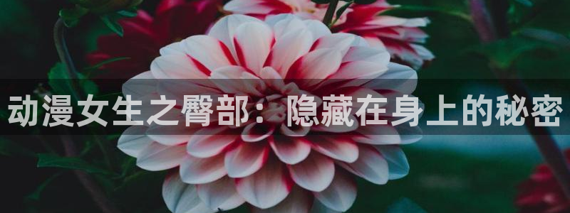 动漫网里番动漫：动漫女生之臀部：隐藏在身上的秘密