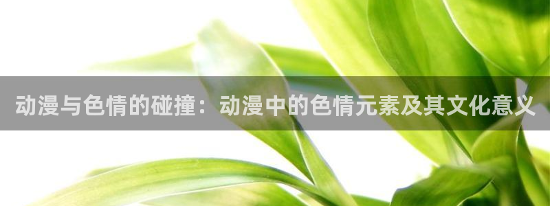 爱动漫网里番：动漫与色情的碰撞：动漫中的色情元素及其文化意义