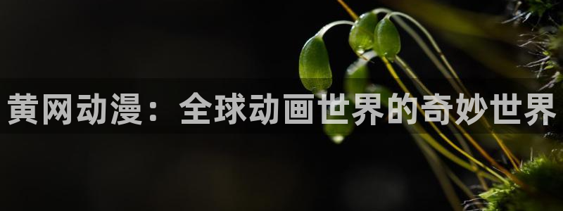 旧里番漫画：黄网动漫：全球动画世界的奇妙世界