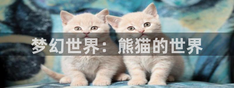 里番动漫樱花：梦幻世界：熊猫的世界