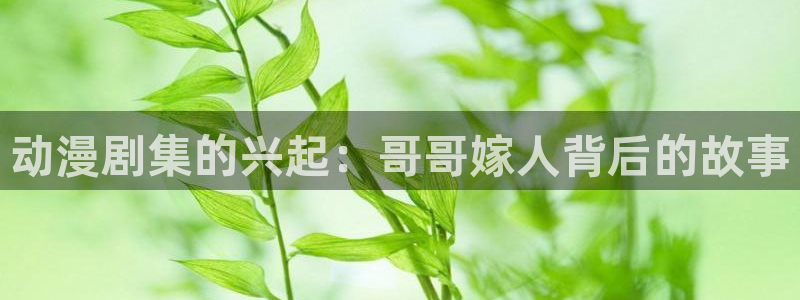 新里番动漫