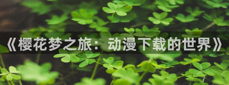 里番 动漫