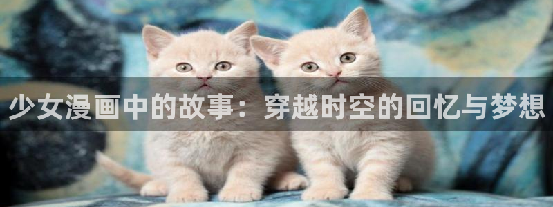 艳母里番动漫