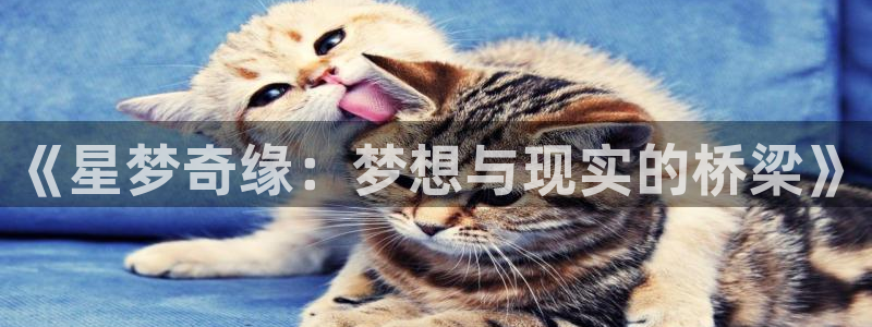 动漫看里番