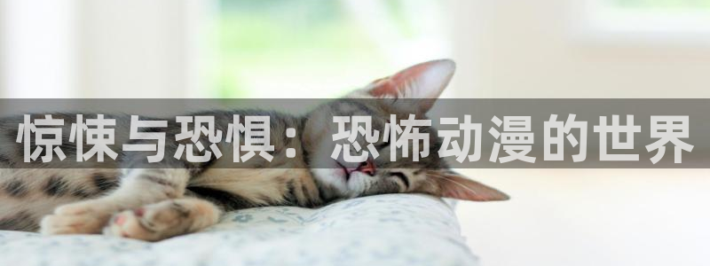 里番动漫片