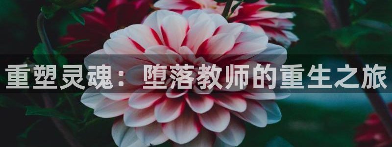 里番漫在线