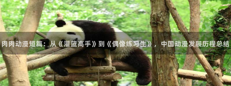 动漫gif里番图片：肉肉动漫短篇：从《灌篮高手》到《偶像练习生》，中国动漫发展历程总结