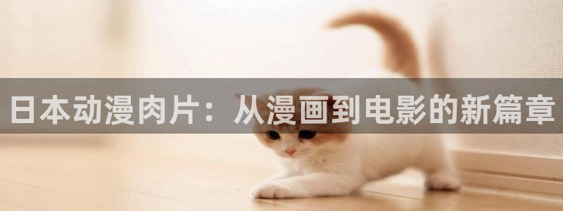 有什么好看的里番：日本动漫肉片：从漫画到电影的新篇章