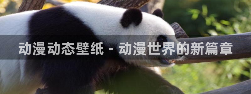3d动画里番：动漫动态壁纸 - 动漫世界的新篇章