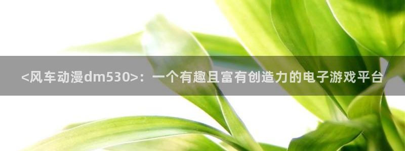 里番剧：<风车动漫dm530>：一个有趣且富有创造力的电子游戏平台