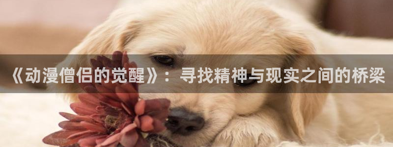 里番漫画免费：《动漫僧侣的觉醒》：寻找精神与现实之间的桥梁