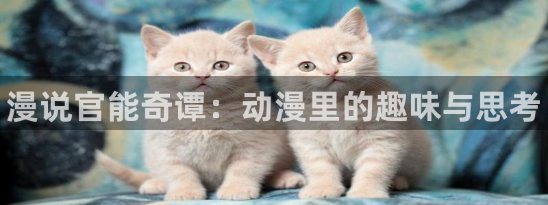 动漫里番网在线观看：漫说官能奇谭：动漫里的趣味与思考