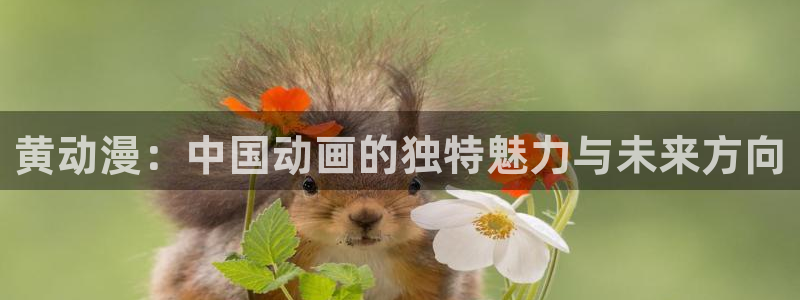 动漫新里番：黄动漫：中国动画的独特魅力与未来方向