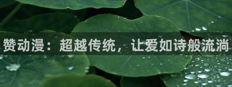 好看里番：赞动漫：超越传统，让爱如诗般流淌