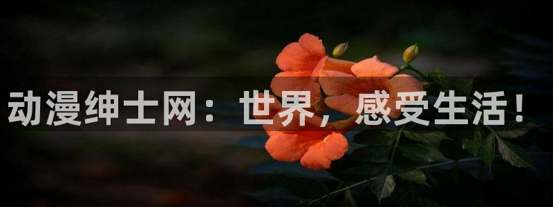 新里番动漫：动漫绅士网：世界，感受生活！