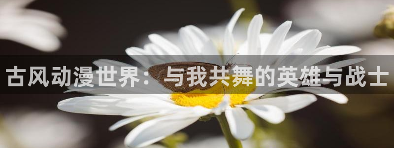少女漫画大全里番：古风动漫世界：与我共舞的英雄与战士
