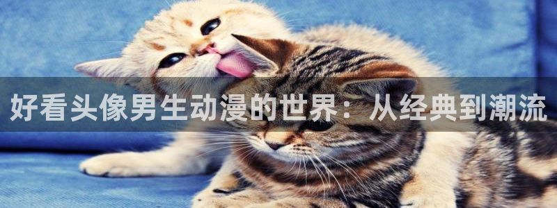 足控里番动漫：好看头像男生动漫的世界：从经典到潮流