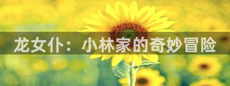 里番漫画免费：龙女仆：小林家的奇妙冒险