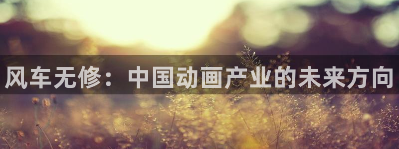 里番动漫网免费观看：风车无修：中国动画产业的未来方向