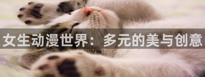 漫里番：女生动漫世界：多元的美与创意