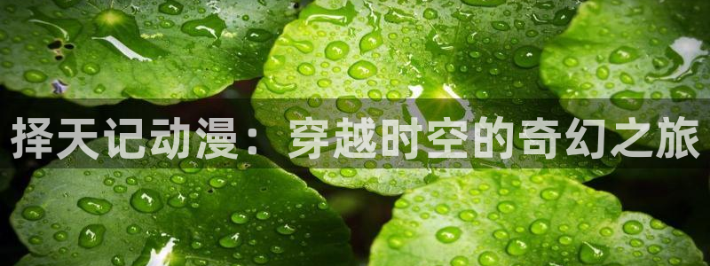 日本里番动漫免费观看：择天记动漫：穿越时空的奇幻之旅