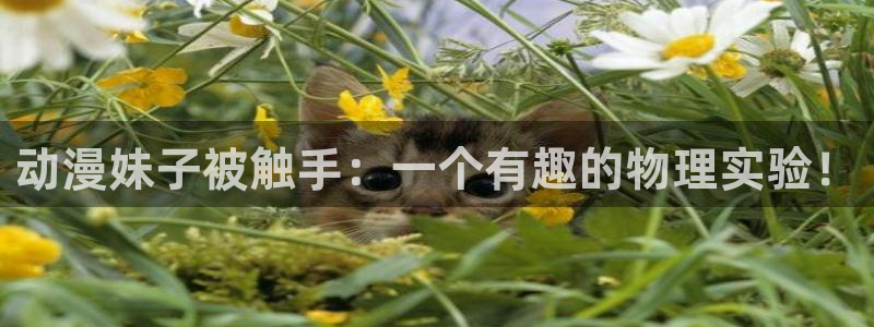 里番动画：动漫妹子被触手：一个有趣的物理实验！