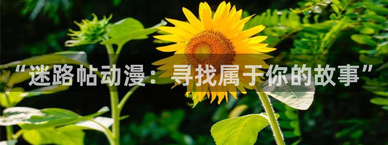 有什么动漫里番动漫：“迷路帖动漫：寻找属于你的故事”