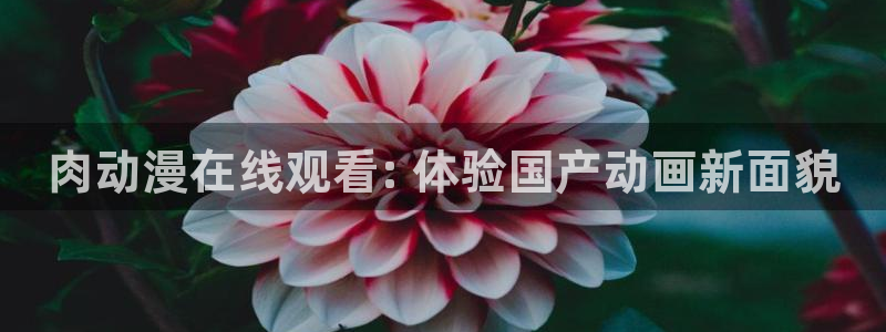 里番动漫小说：肉动漫在线观看: 体验国产动画新面貌