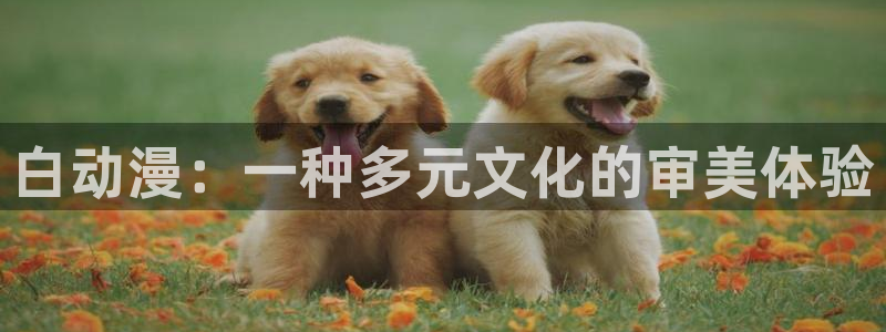 热门里番动漫：白动漫：一种多元文化的审美体验