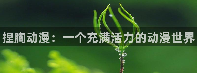 口工里番漫画：捏胸动漫：一个充满活力的动漫世界