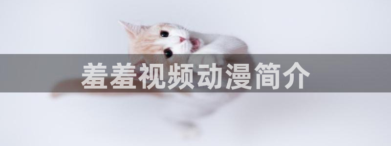 动漫里番网在线观看：羞羞视频动漫简介