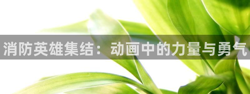 里番动漫全集
