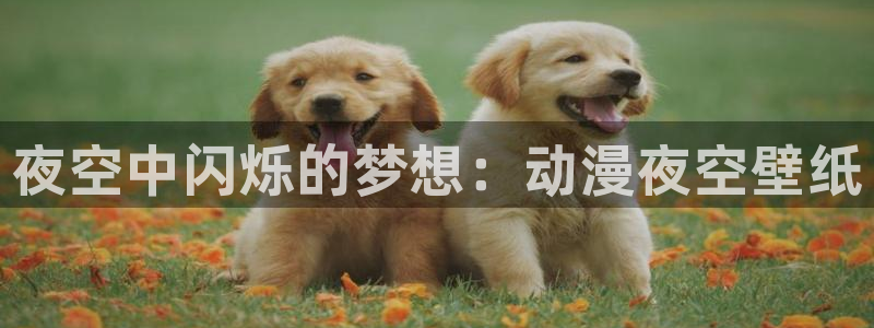 动漫最新里番：夜空中闪烁的梦想：动漫夜空壁纸