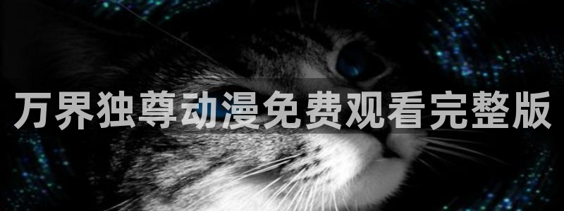 2026年里番动漫