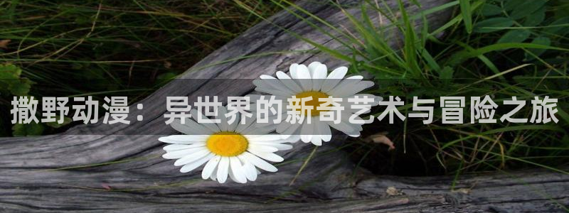 里番动漫免费