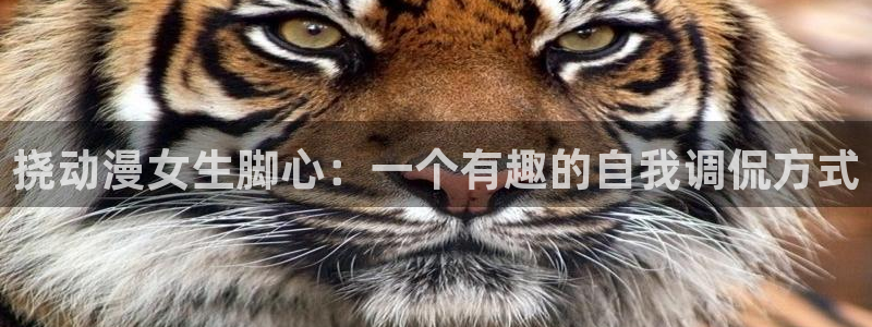 里番最新